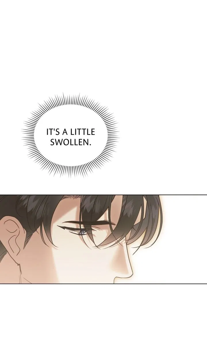 Read It Was Just a Contractual Marriage Manga Online