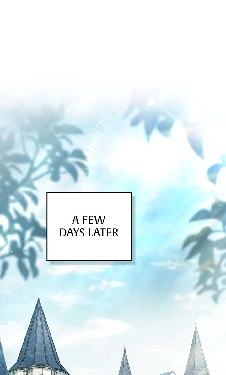 Read It Was Just a Contractual Marriage Manga Online