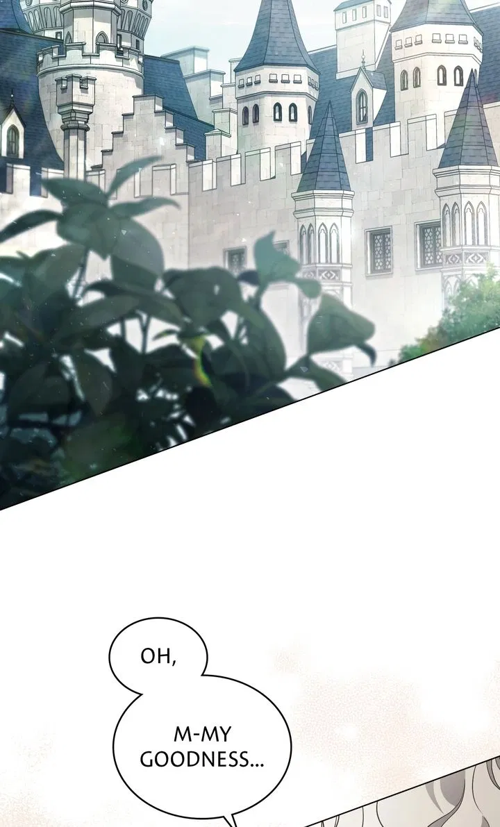Read It Was Just a Contractual Marriage Manga Online