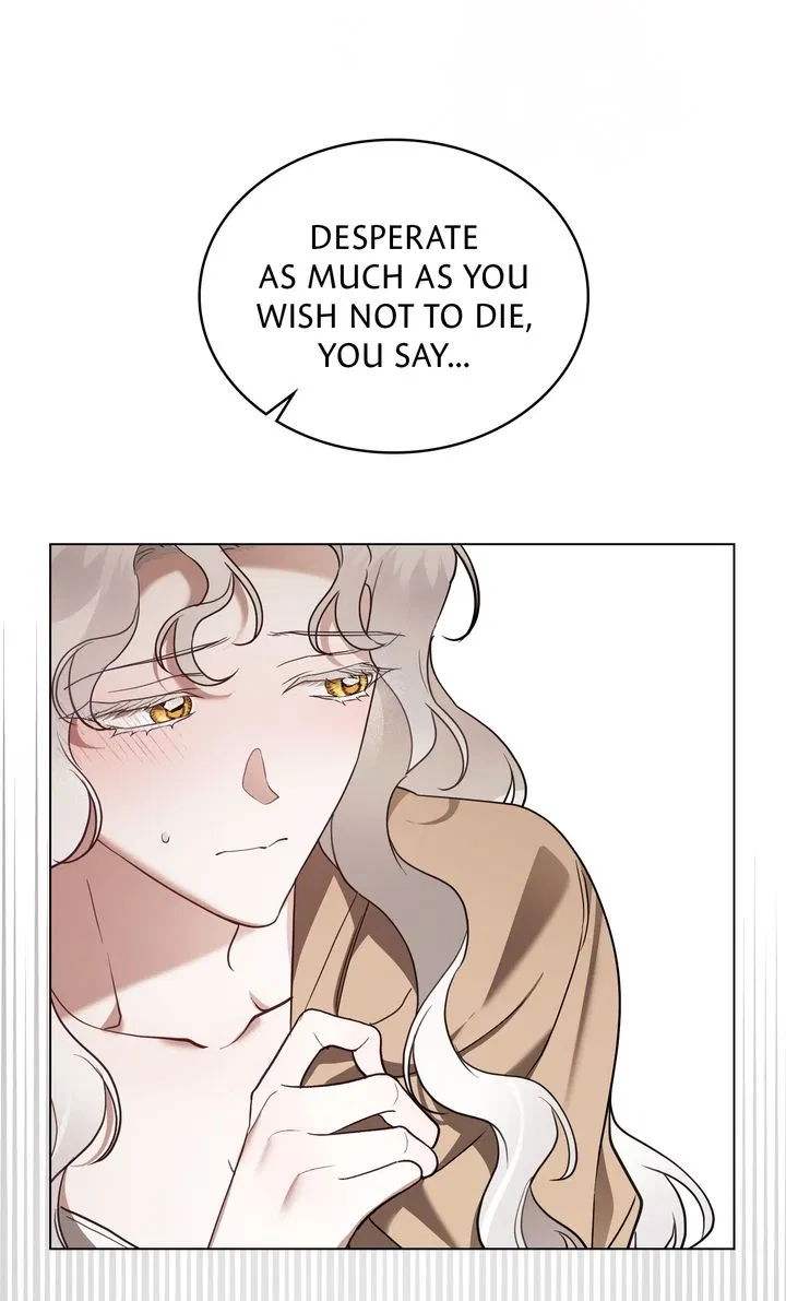 Read It Was Just a Contractual Marriage Manga Online