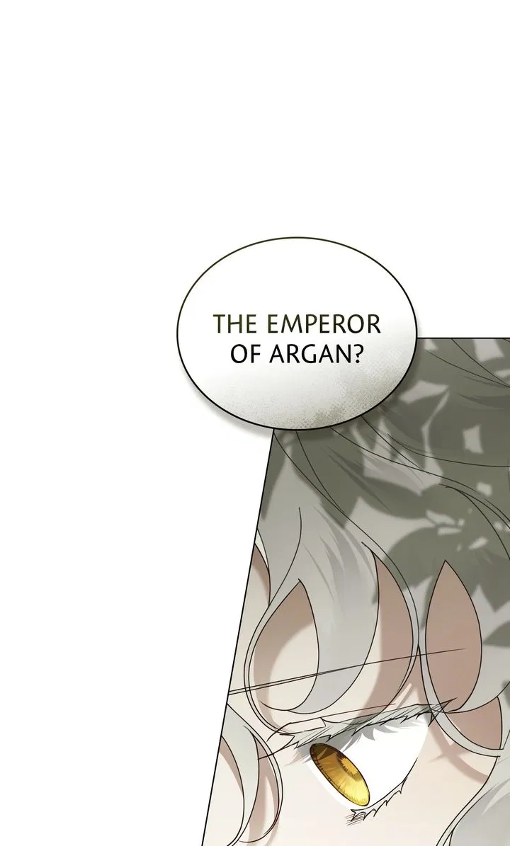 Read It Was Just a Contractual Marriage Manga Online
