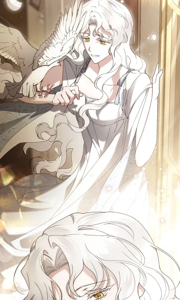 Read It Was Just a Contractual Marriage Manga Online