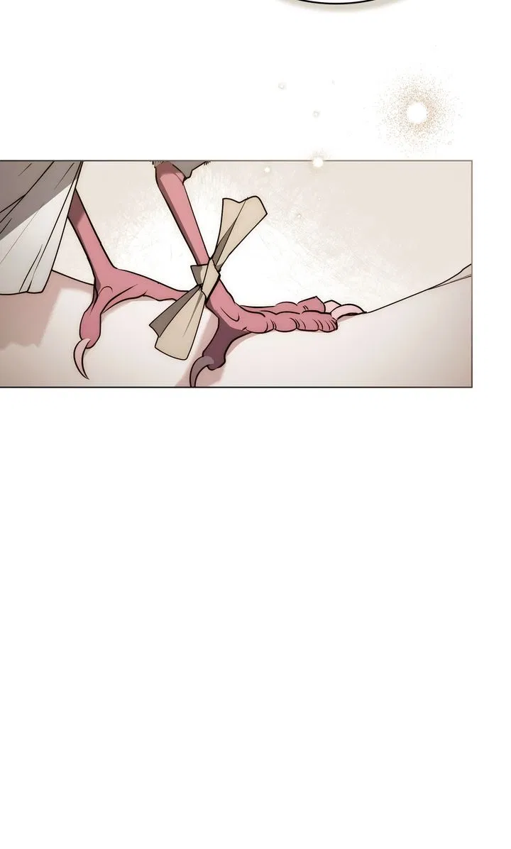 Read It Was Just a Contractual Marriage Manga Online