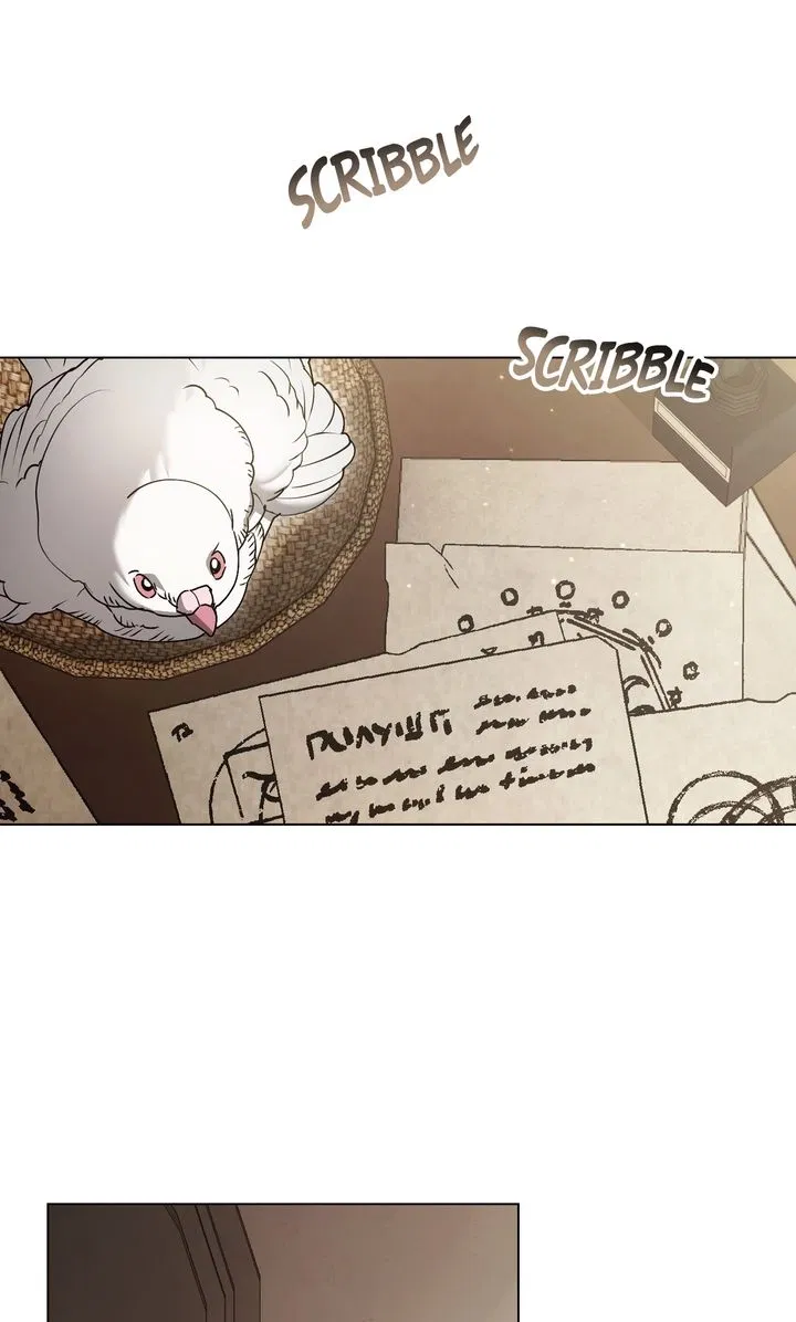 Read It Was Just a Contractual Marriage Manga Online