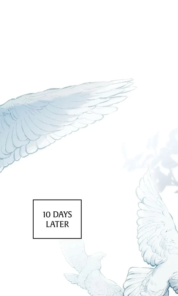 Read It Was Just a Contractual Marriage Manga Online