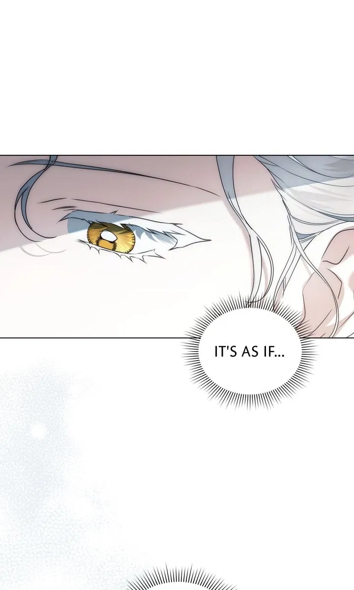 Read It Was Just a Contractual Marriage Manga Online