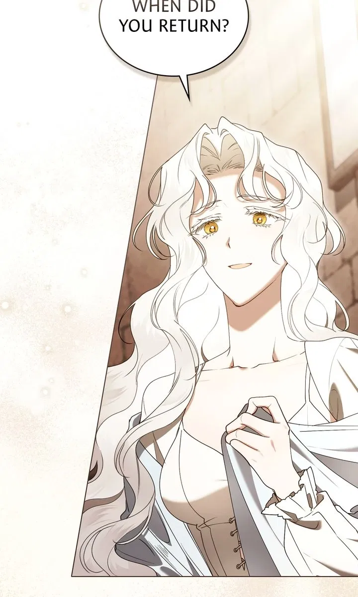 Read It Was Just a Contractual Marriage Manga Online