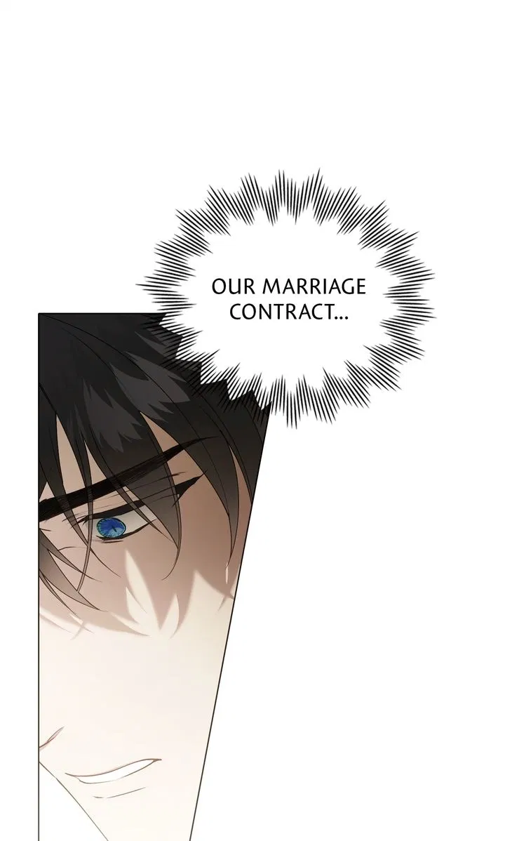 Read It Was Just a Contractual Marriage Manga Online