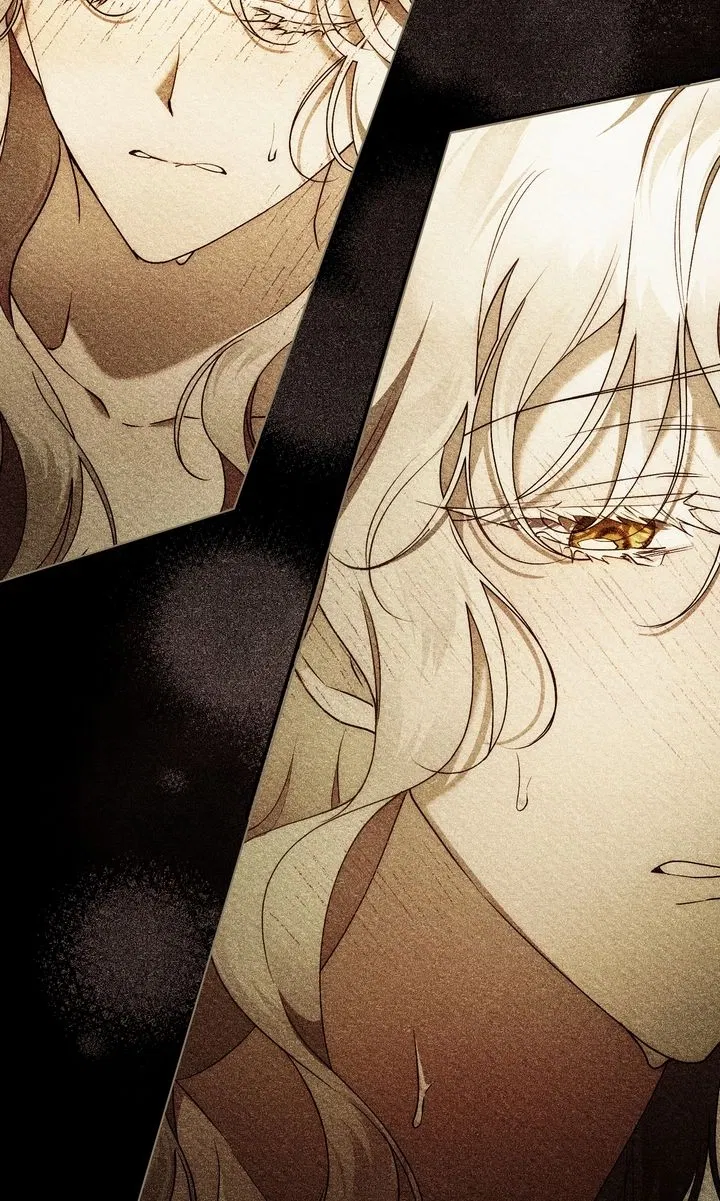 Read It Was Just a Contractual Marriage Manga Online