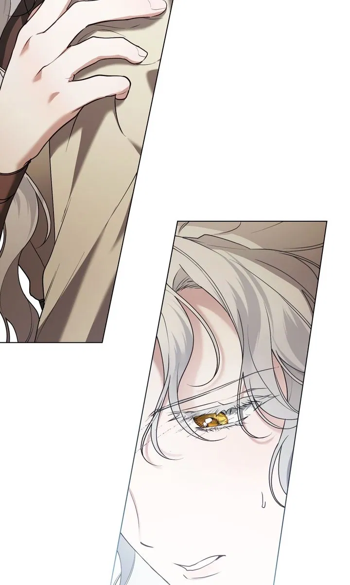 Read It Was Just a Contractual Marriage Manga Online