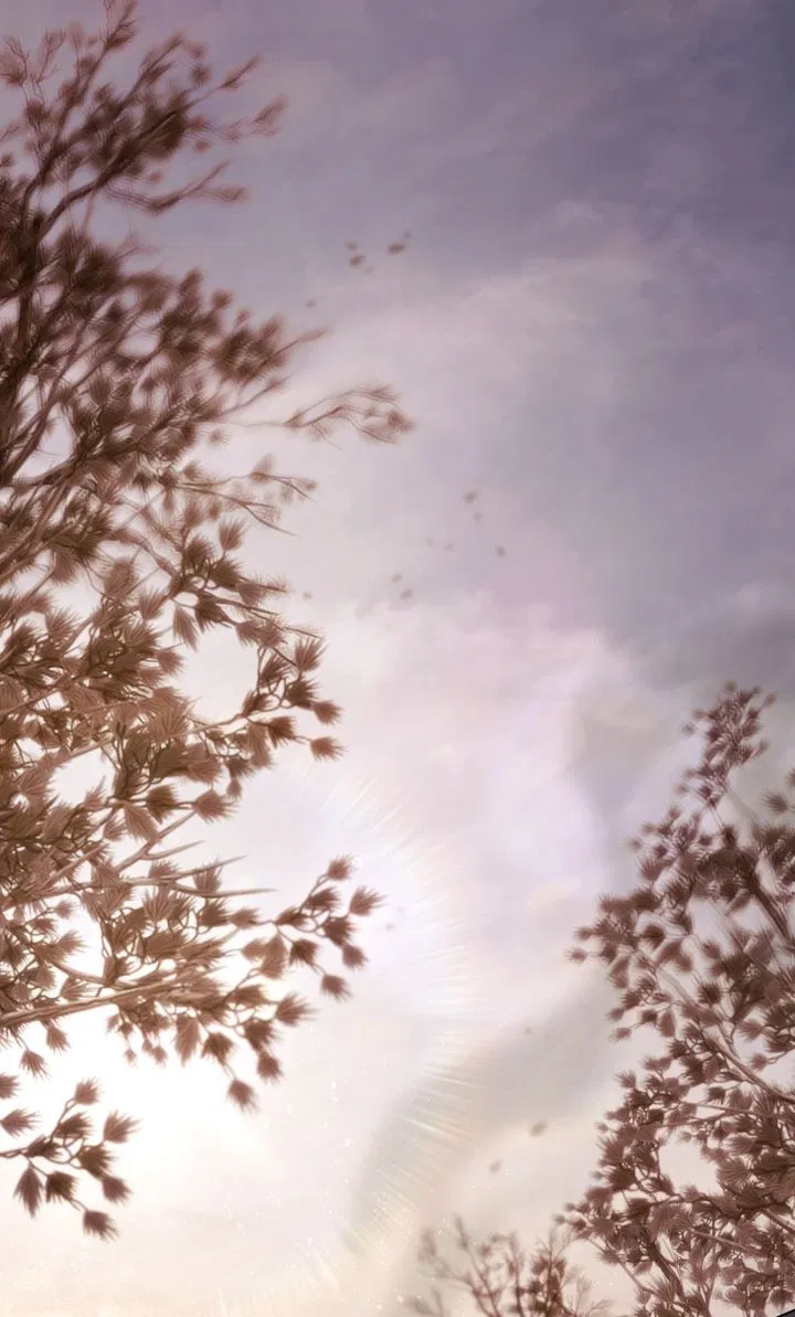 Read It Was Just a Contractual Marriage Manga Online