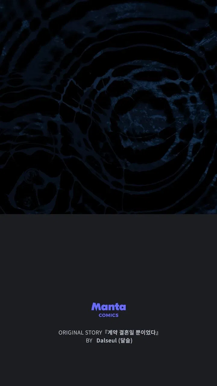 Read It Was Just a Contractual Marriage Manga Online