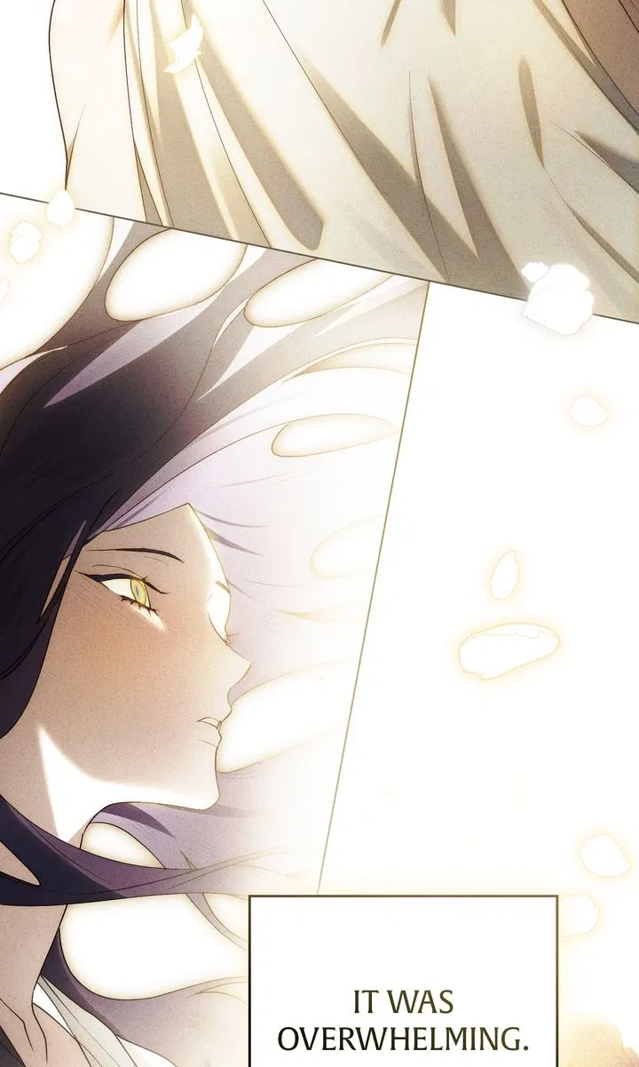 Read It Was Just a Contractual Marriage Manga Online