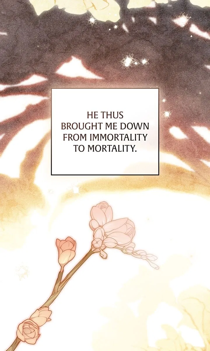 Read It Was Just a Contractual Marriage Manga Online