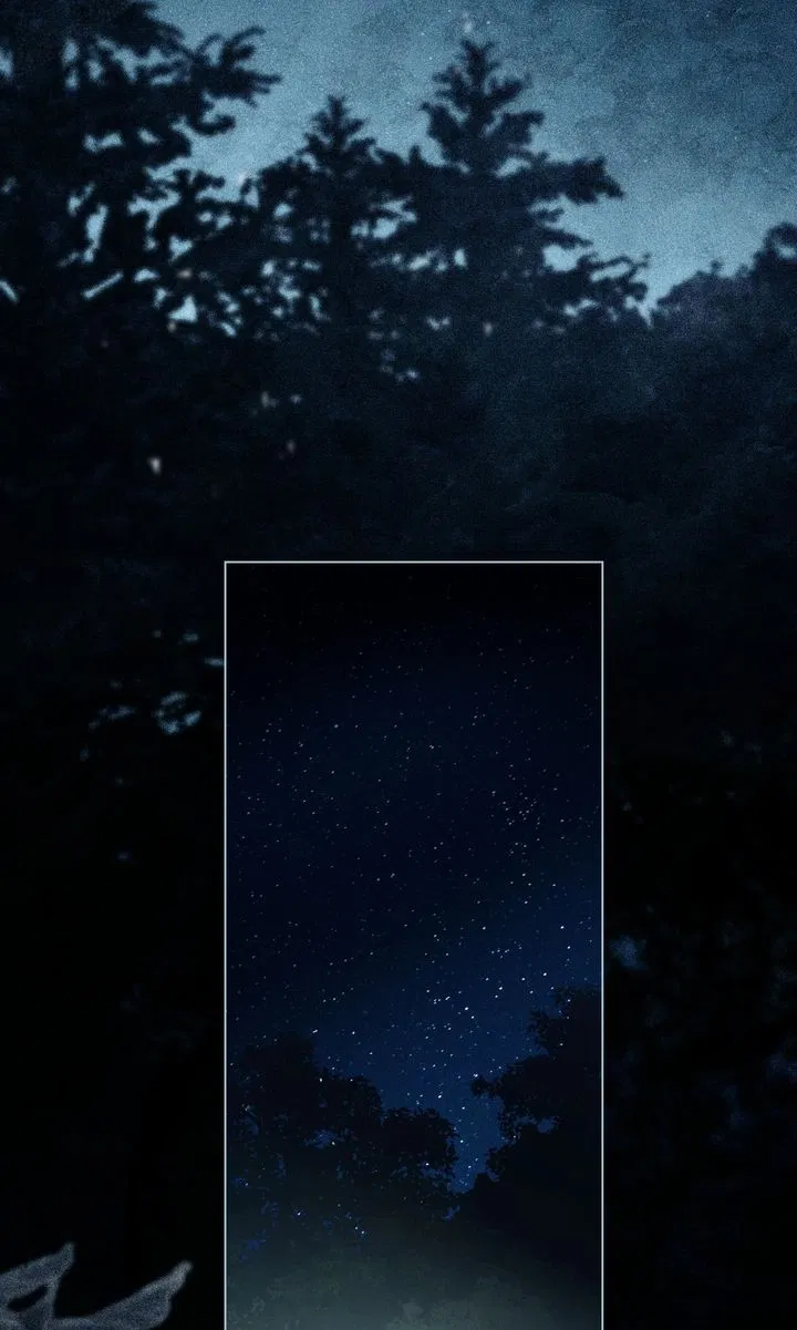 Read It Was Just a Contractual Marriage Manga Online