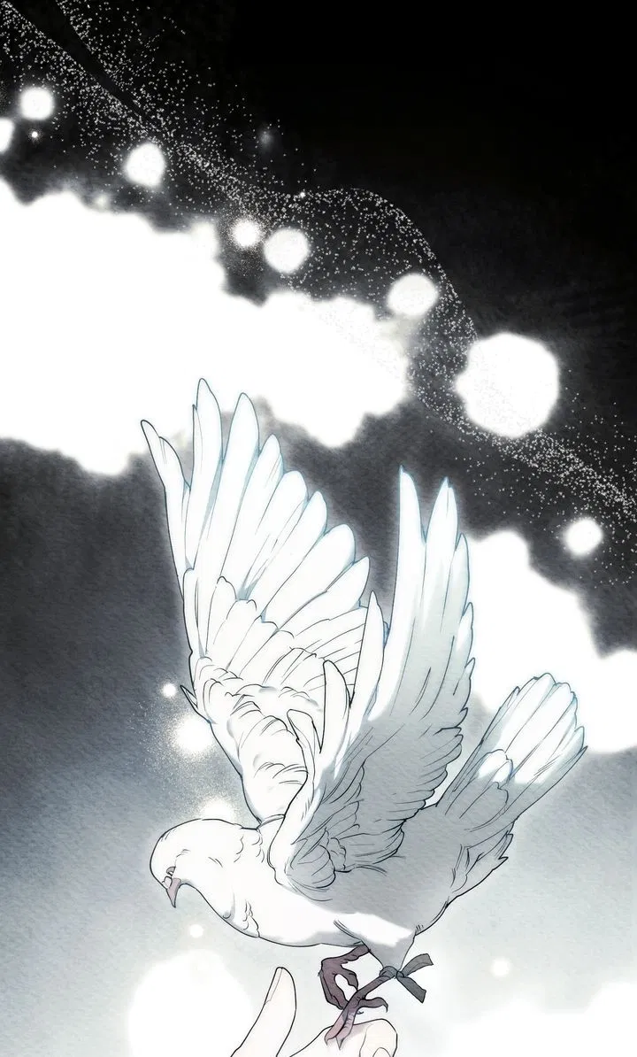 Read It Was Just a Contractual Marriage Manga Online