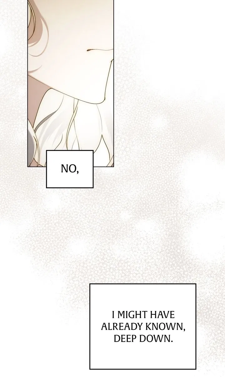 Read It Was Just a Contractual Marriage Manga Online