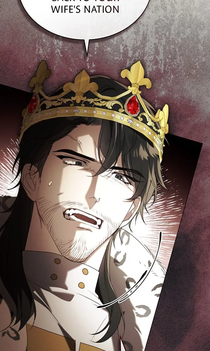 Read It Was Just a Contractual Marriage Manga Online