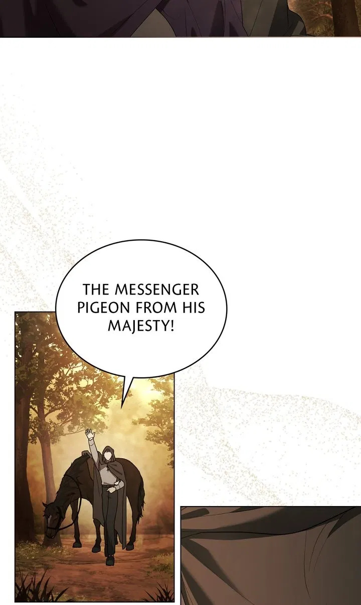 Read It Was Just a Contractual Marriage Manga Online