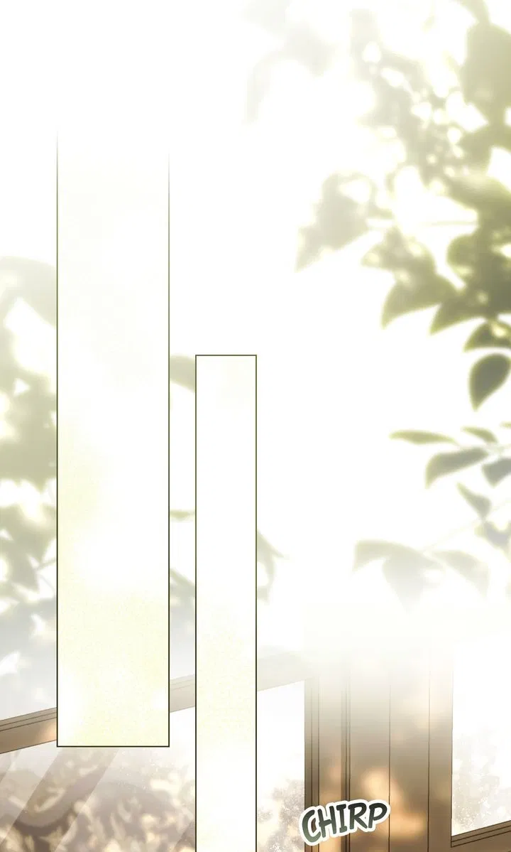 Read It Was Just a Contractual Marriage Manga Online