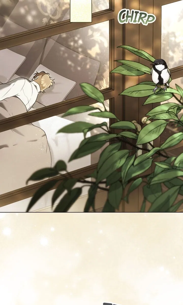 Read It Was Just a Contractual Marriage Manga Online