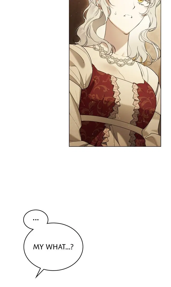 Read It Was Just a Contractual Marriage Manga Online