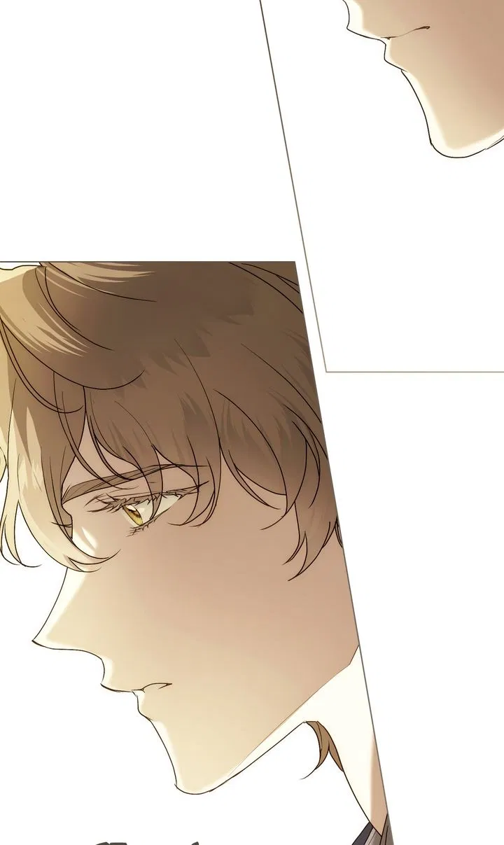 Read It Was Just a Contractual Marriage Manga Online