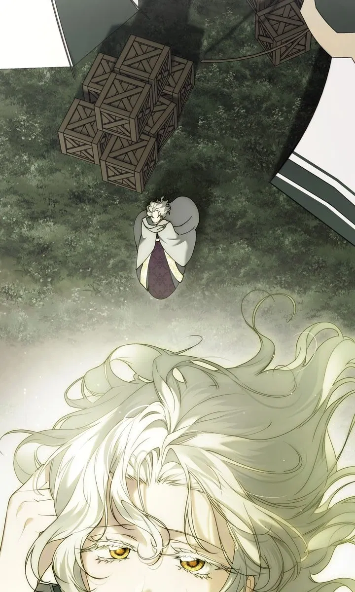 Read It Was Just a Contractual Marriage Manga Online