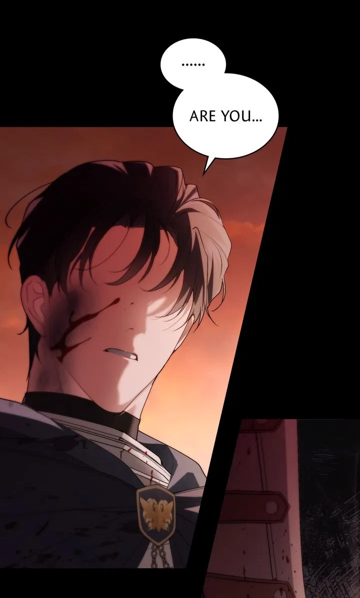 Read It Was Just a Contractual Marriage Manga Online