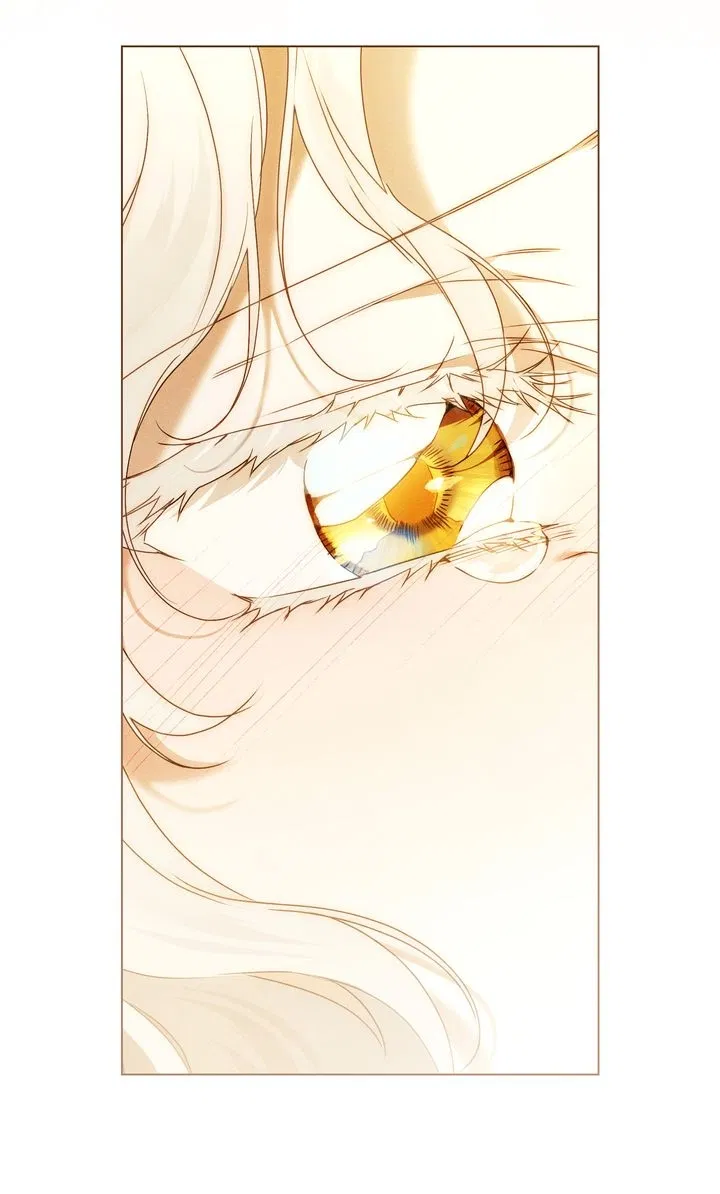 Read It Was Just a Contractual Marriage Manga Online