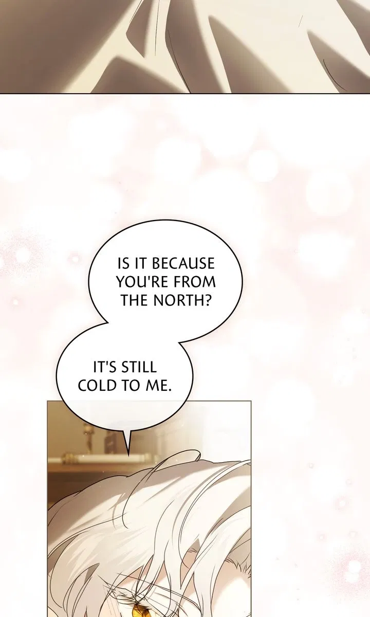 Read It Was Just a Contractual Marriage Manga Online