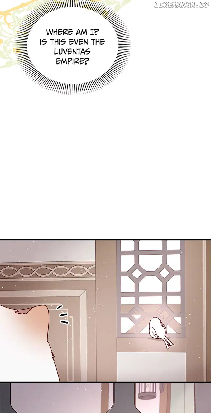 Read Please, Forget About Vivian Manga Online