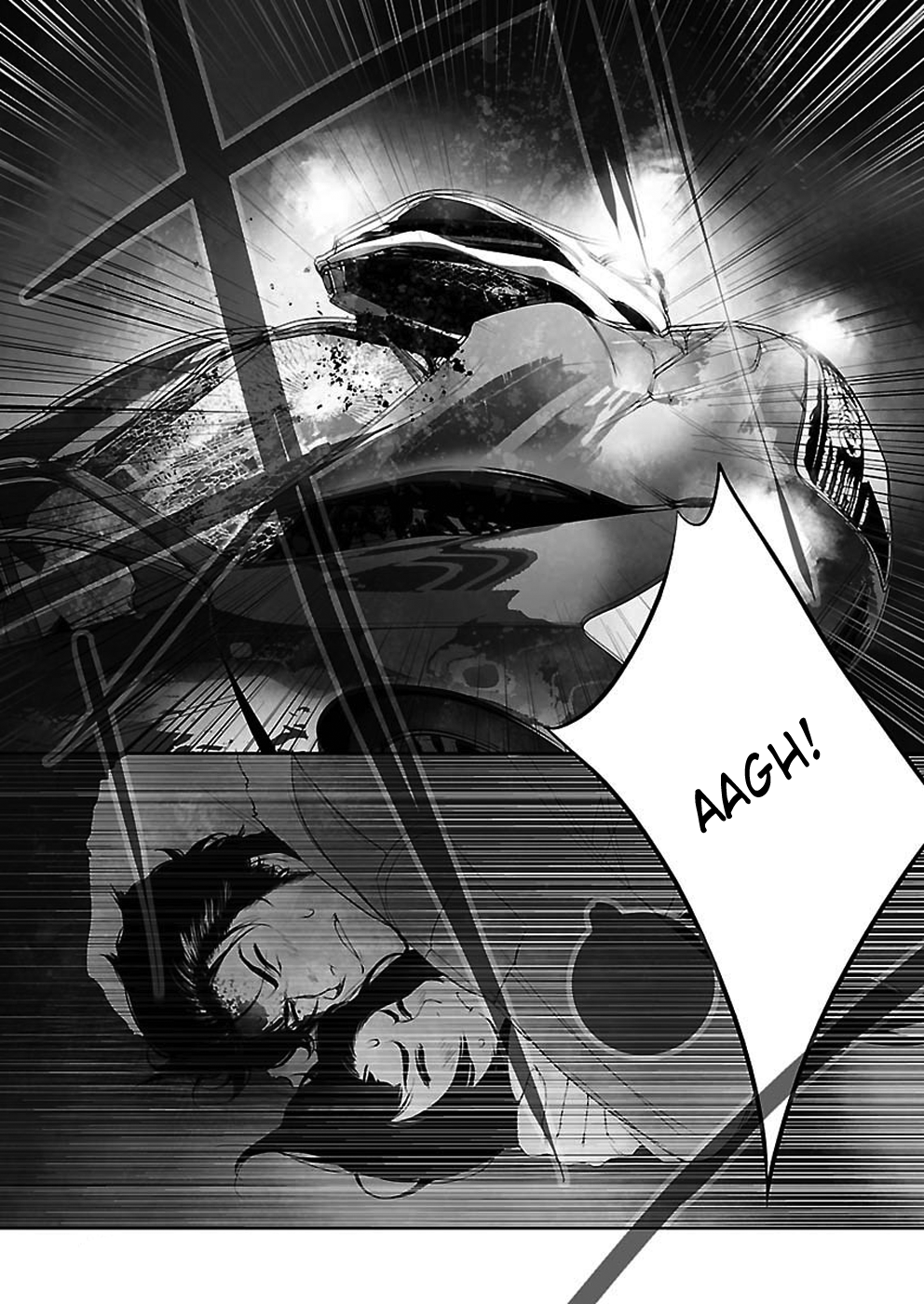 Read Steins: Gate - Epigraph of the Closed Curve Manga Online