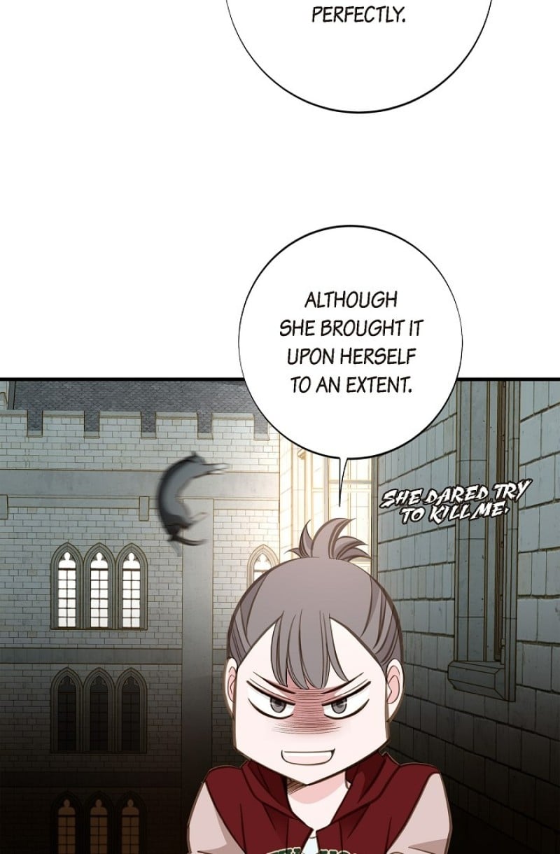 Read Survival Marriage Manga Online