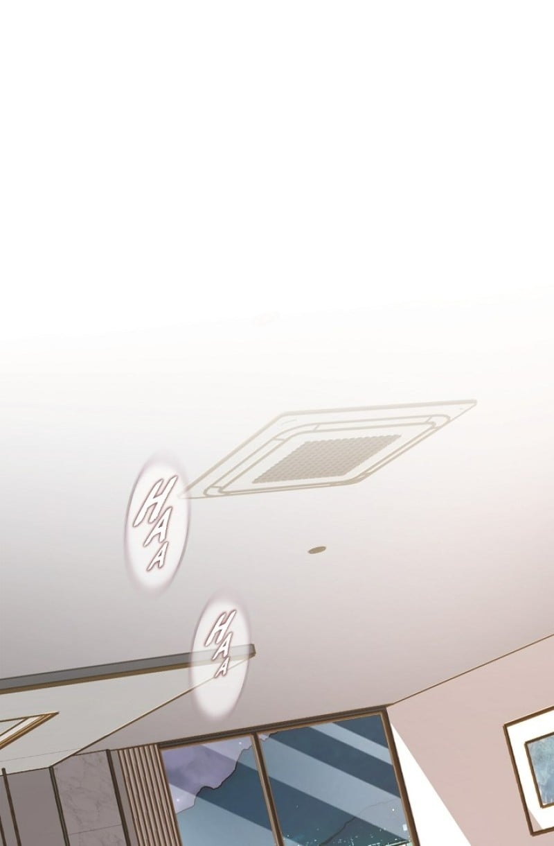 Read Survival Marriage Manga Online