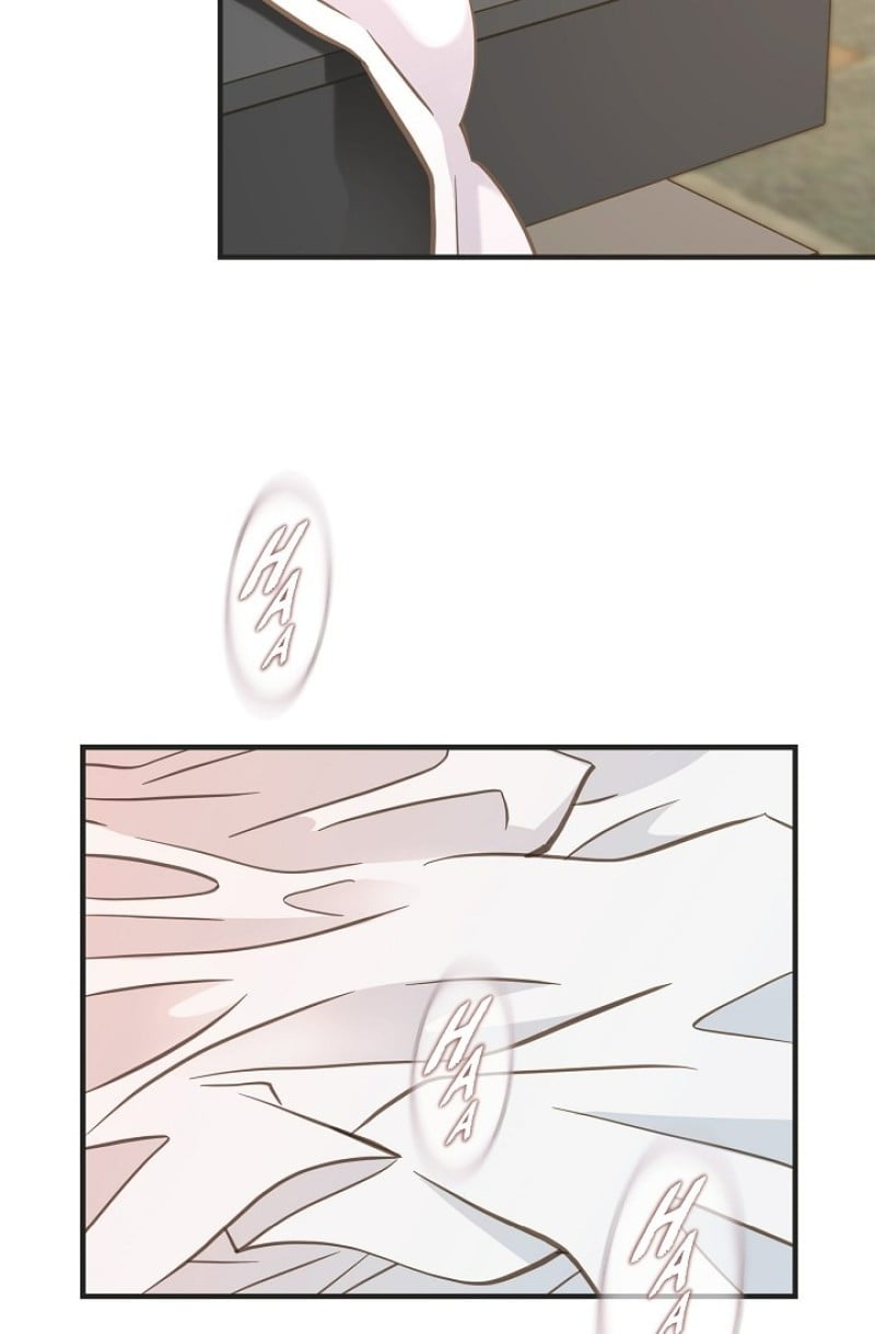 Read Survival Marriage Manga Online