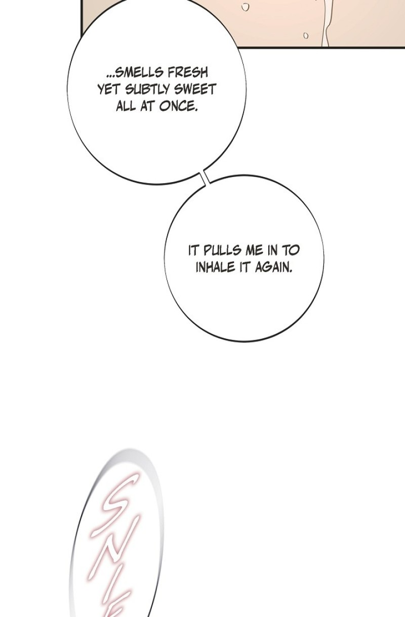 Read Survival Marriage Manga Online