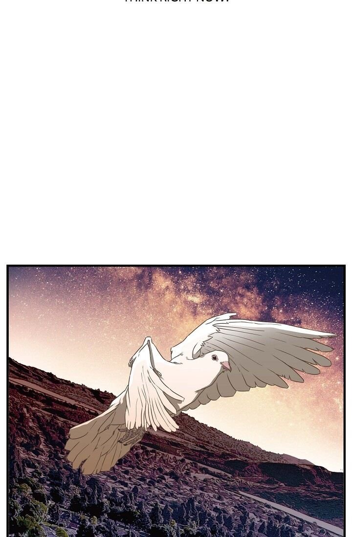 Read Survival Marriage Manga Online