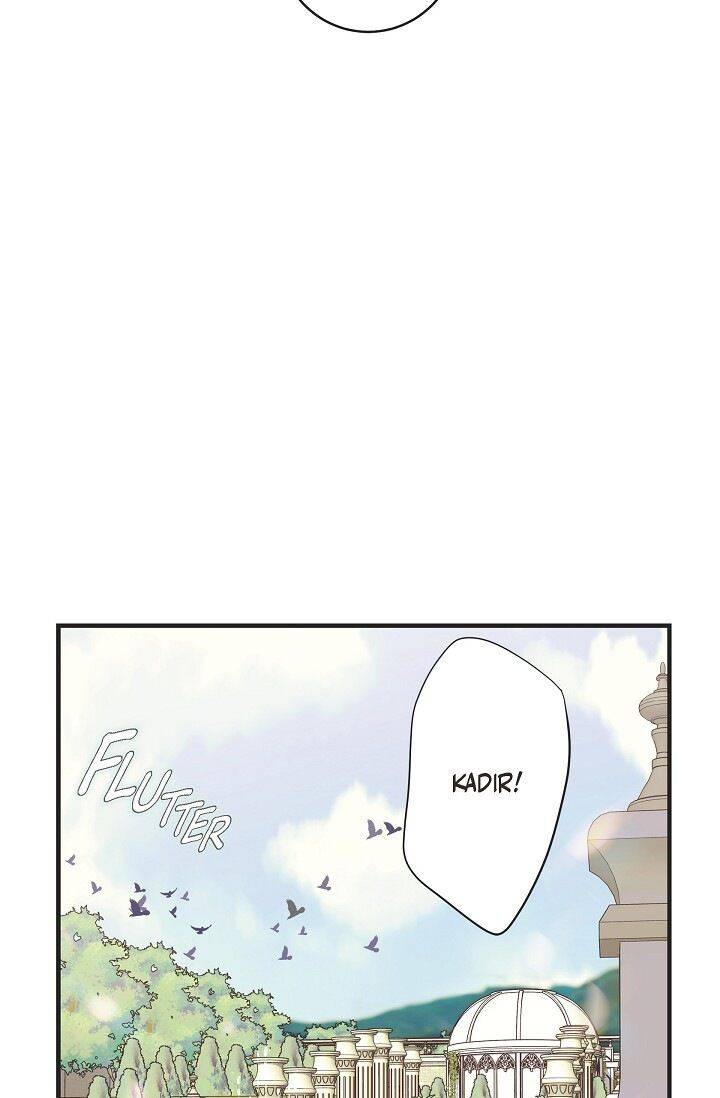 Read Survival Marriage Manga Online