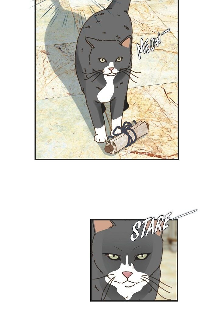 Read Survival Marriage Manga Online