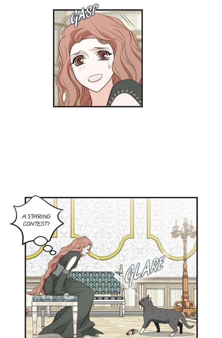 Read Survival Marriage Manga Online