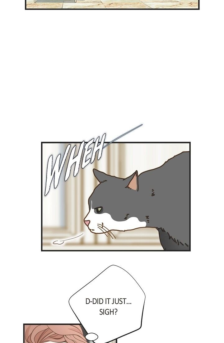 Read Survival Marriage Manga Online