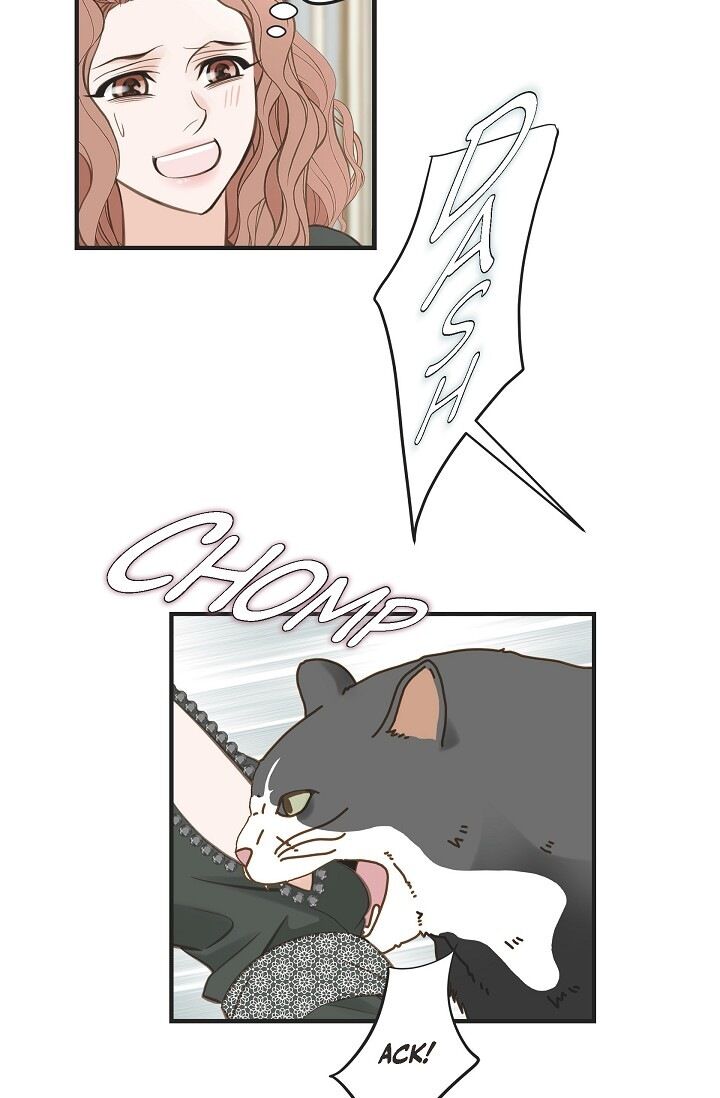 Read Survival Marriage Manga Online