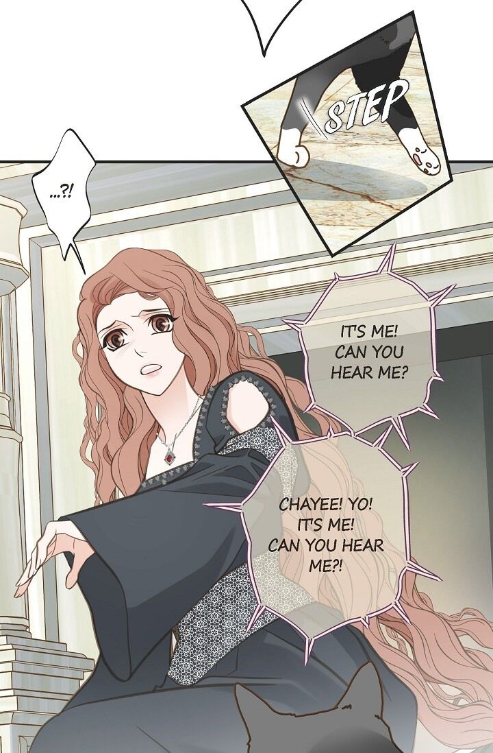 Read Survival Marriage Manga Online
