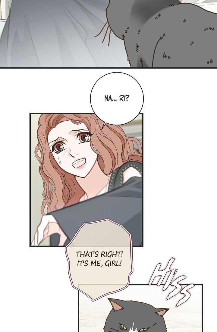 Read Survival Marriage Manga Online