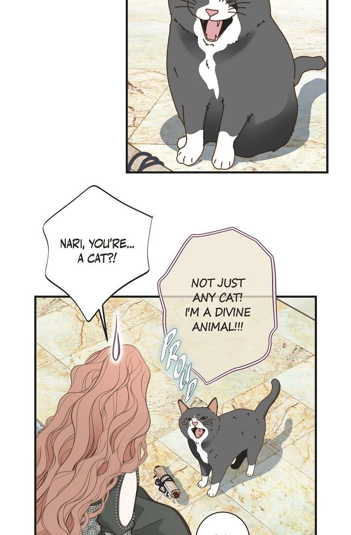 Read Survival Marriage Manga Online