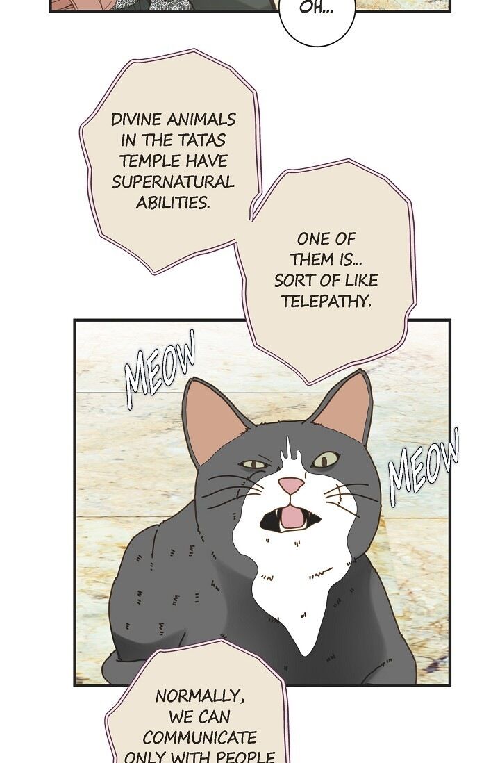Read Survival Marriage Manga Online