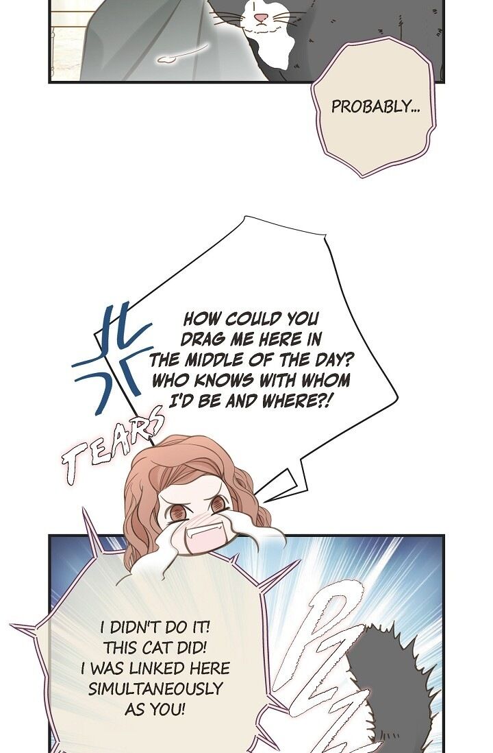 Read Survival Marriage Manga Online