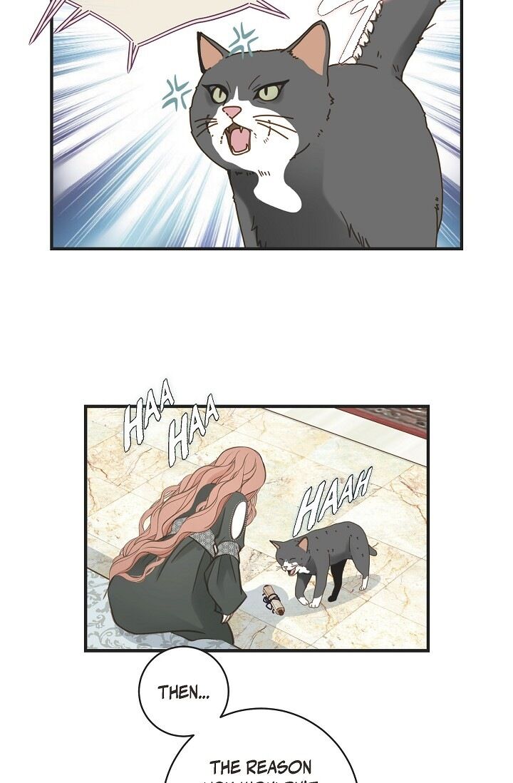 Read Survival Marriage Manga Online