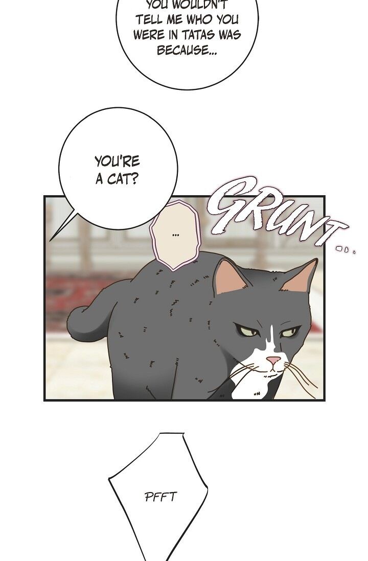 Read Survival Marriage Manga Online